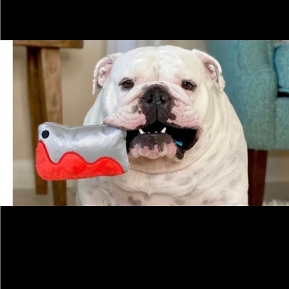 NEW BARKBOX "THE LAST LAUGH BUNDLE" & INCLDS 2 PC CLOWN W/BONUS TOY & BLOODY AXE - Picture 6 of 10